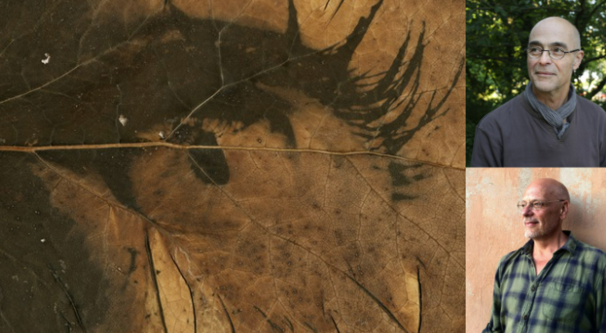 Novembre à la page : création d'un livre photographique - médiathèque Châteauroux-les-Alpes