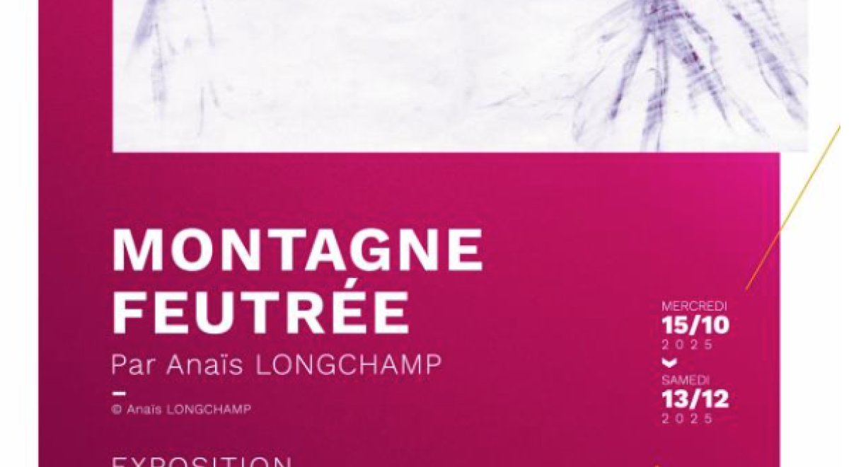 Exposition Montagne Feutrée