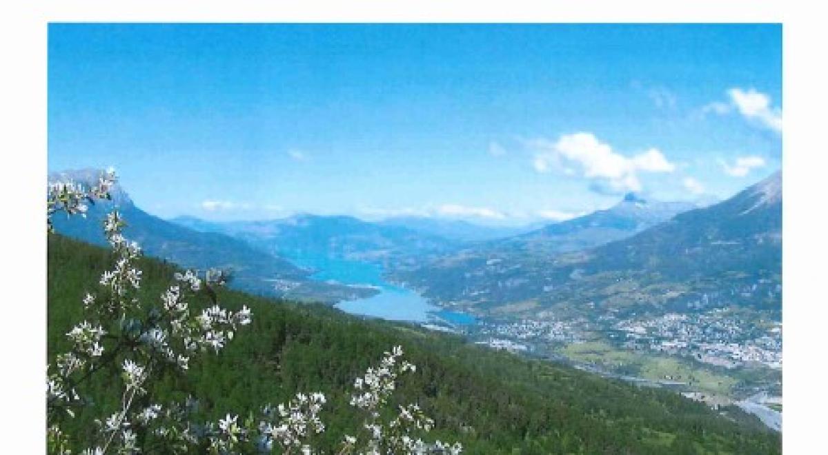 règlement collecte déchets