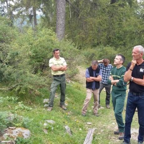 élaboration charte forestière élaboration charte forestière