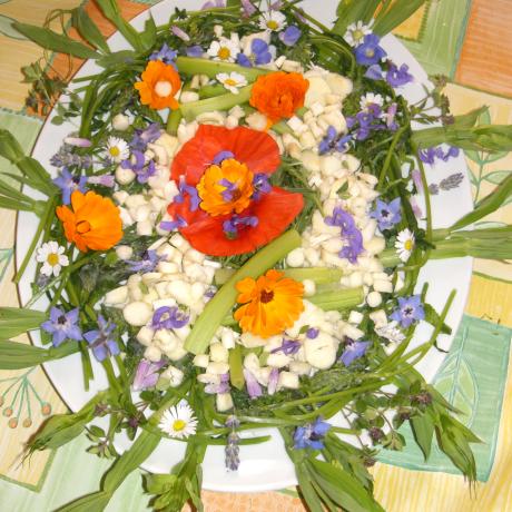 Atelier « Plantes sauvages comestibles » Atelier « Plantes sauvages comestibles »