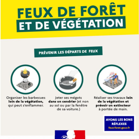 Feux de forêt et de végétation