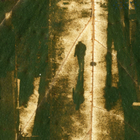 Novembre à la page : exposition Pan à la médiathèque de Chorges