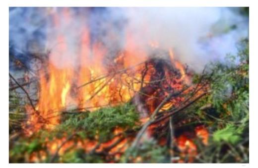 brûlage déchets verts