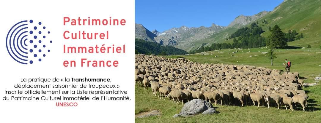 transhumance