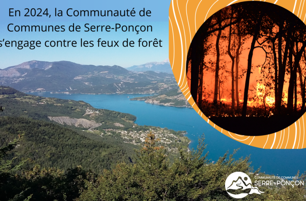 LES FORÊTS DE SERRE-PONÇON ET LE RISQUE INCENDIE