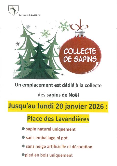 Collecte de sapins